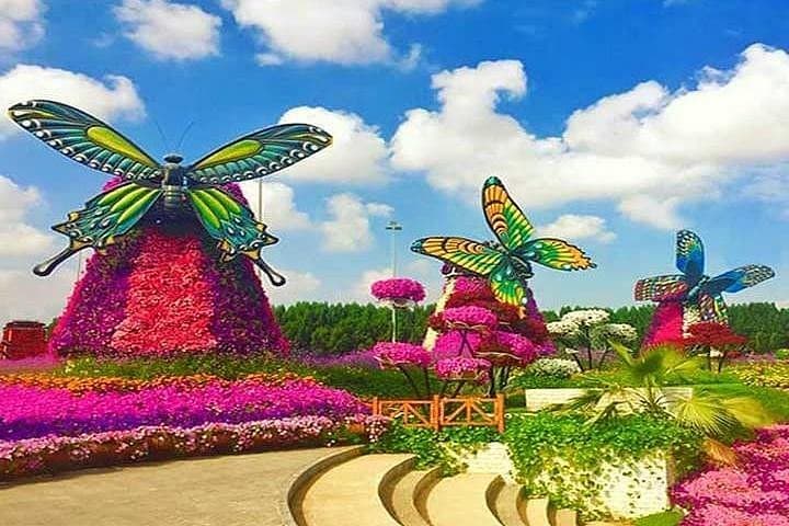 Dubai Butterfly Garden