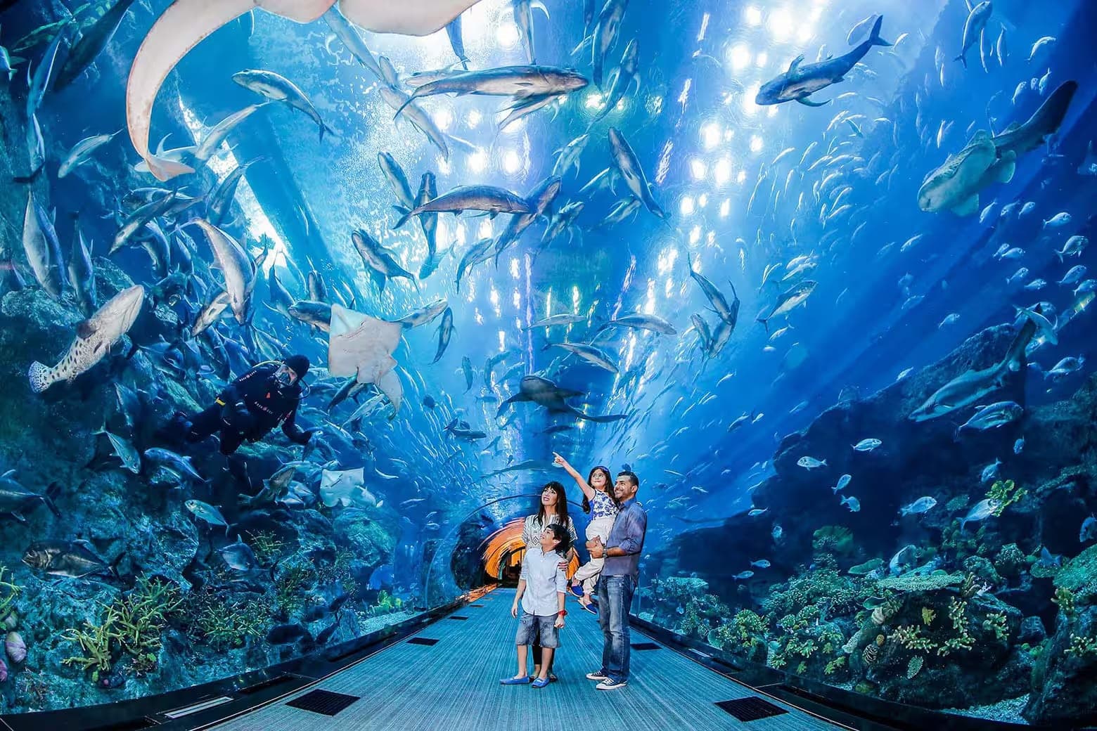 A family standing in the walk through tunnel at Dubai Aquarium surrounded by fish
