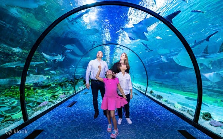 Dubai on a budget: see the city for under AED 500